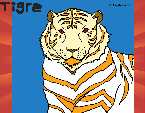 Tigre 3