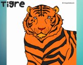 Tigre 3