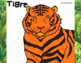 Tigre 3