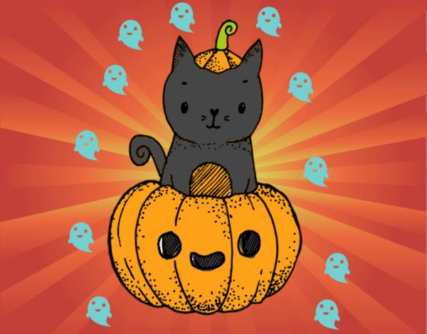 Un gatito de Halloween