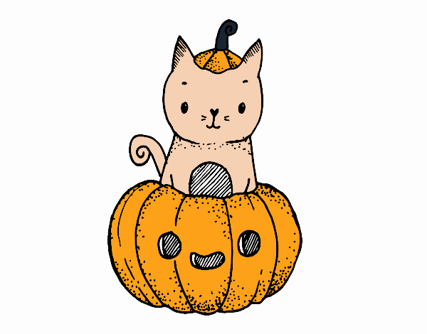 Un gatito de Halloween