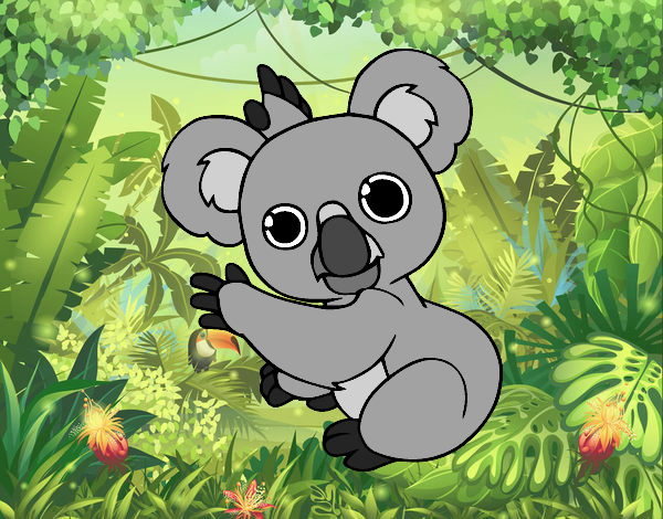 Un Koala