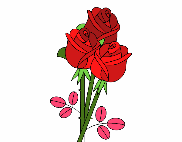 rojas  rosas 