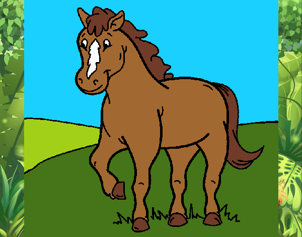 Caballo 4