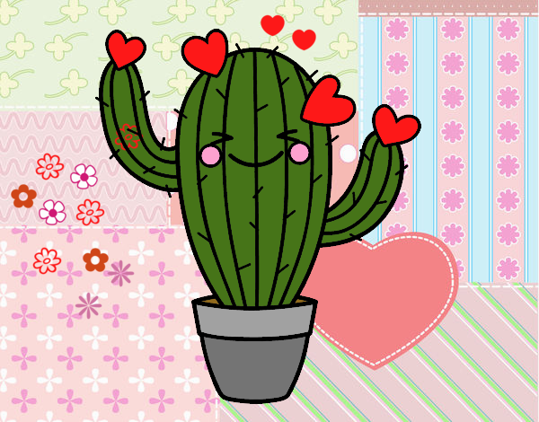 cactus amoroso