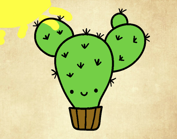 cactus kawai