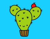 Cactus nopal