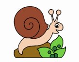 Caracol