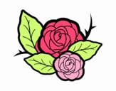 Dos rosas