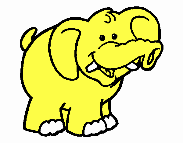 Elefante 6