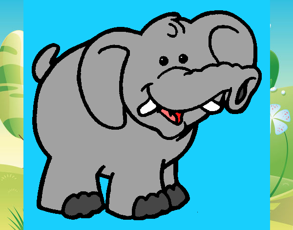 Elefante 6