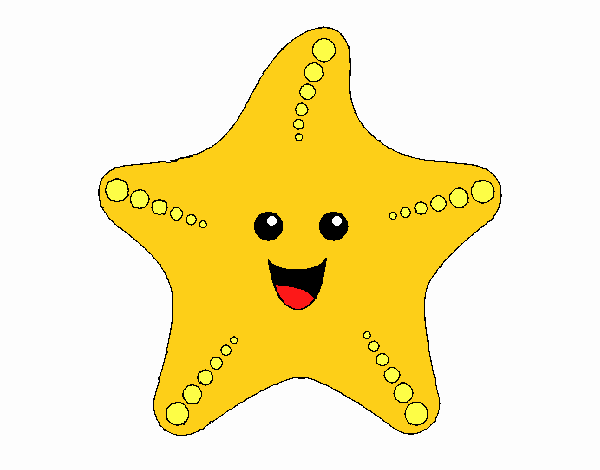 Estrella de mar 1