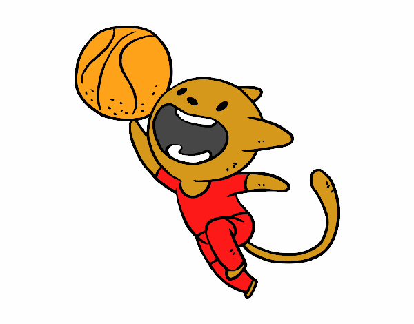 Gato jugando a baloncesto