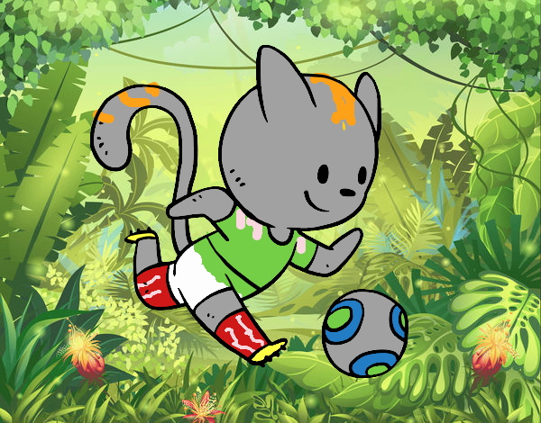 Gato jugando a fútbol