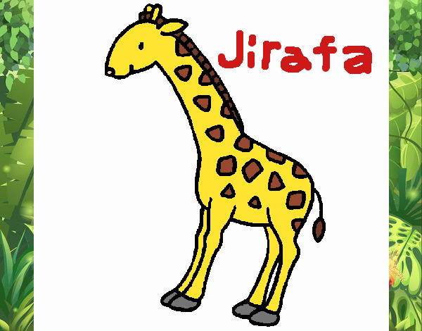 Jirafa 2