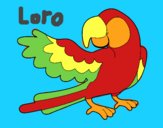 Loro con ala abierta