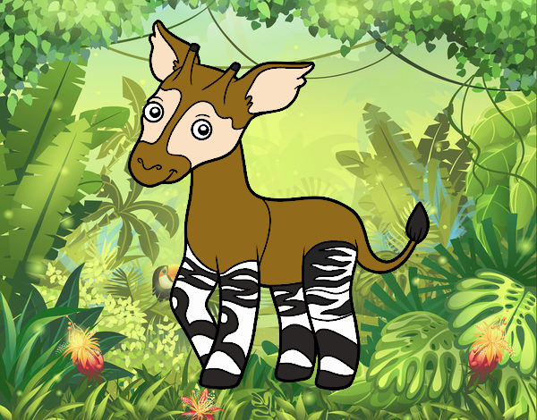 Okapi