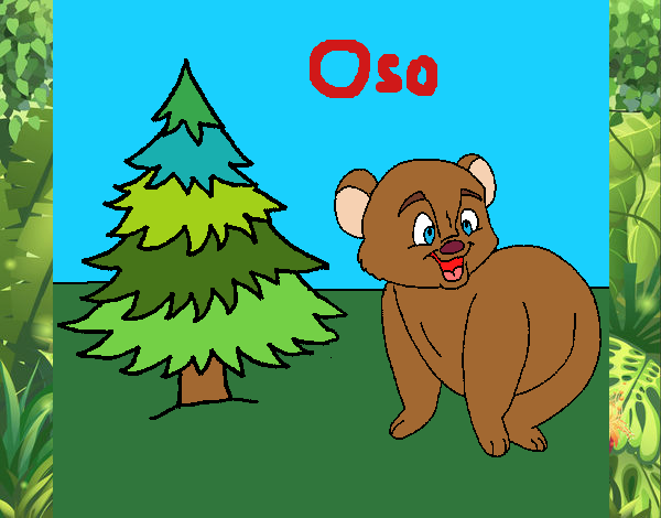 Oso y abeto