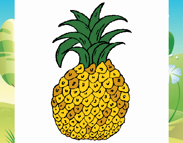 piña