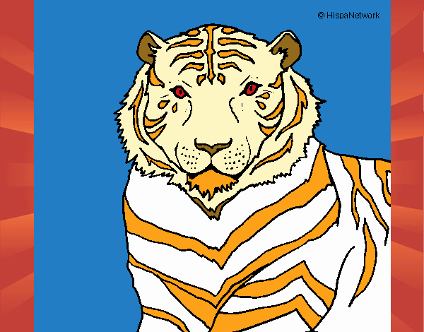 Tigre 3