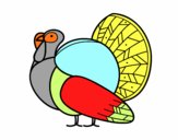 Un pavo