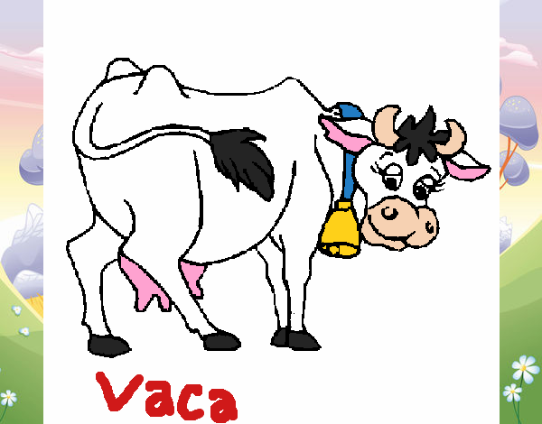 Vaca 2