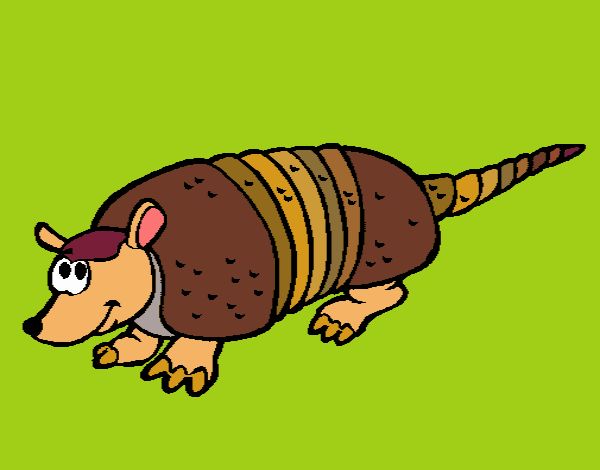 Armadillo