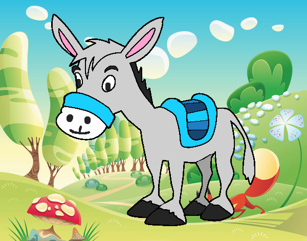 Burro de granja