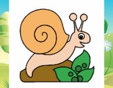 Caracol