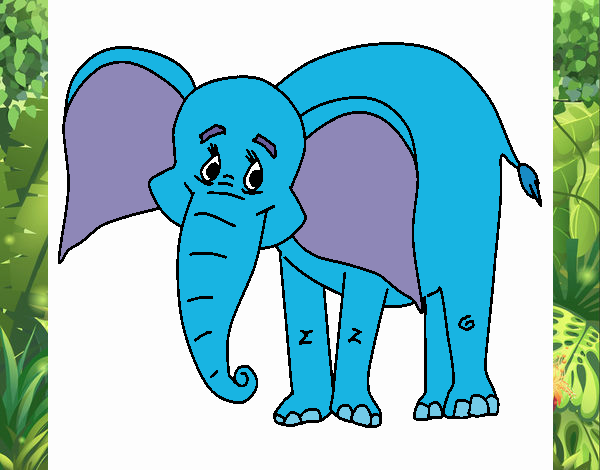 Elefante feliz