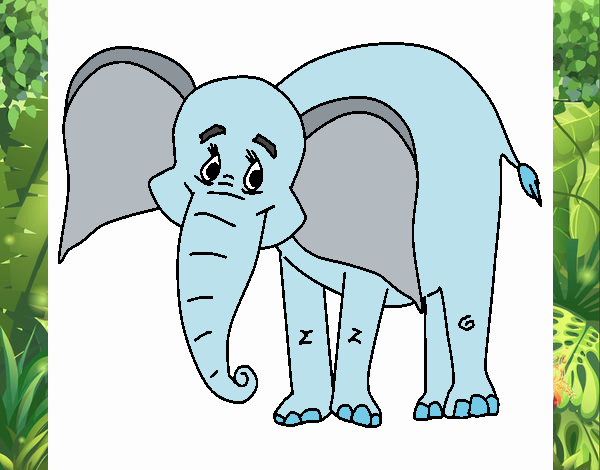 Elefante feliz