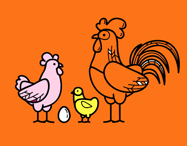 Familia gallina