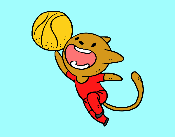 Gato jugando a baloncesto