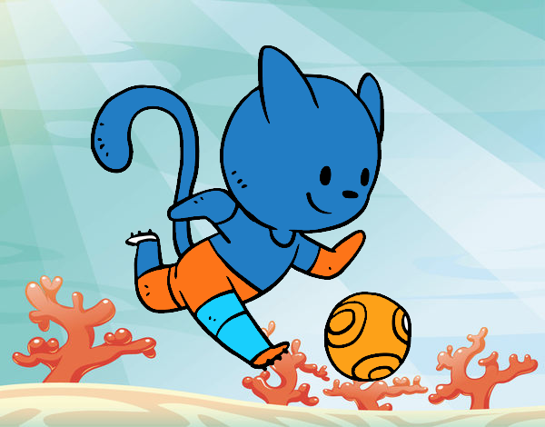 Gato jugando a fútbol