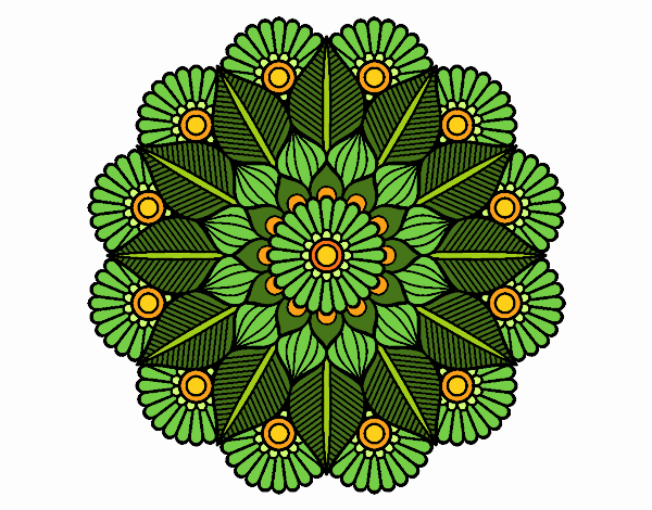 Mandala jardín vegetal