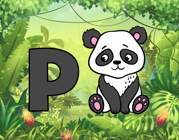 P de Panda