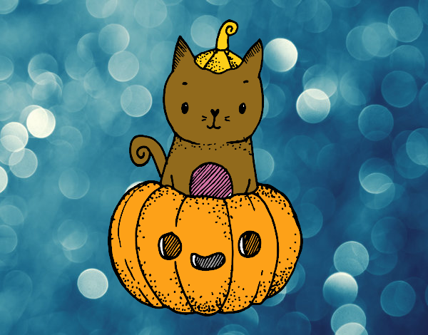 Un gatito de Halloween