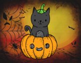 Un gatito de Halloween