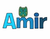 Amir