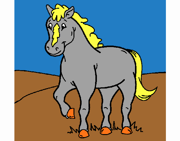 Caballo 4