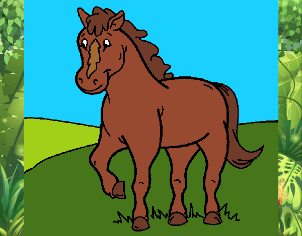 Caballo 4