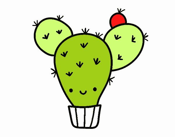 Cactus nopal