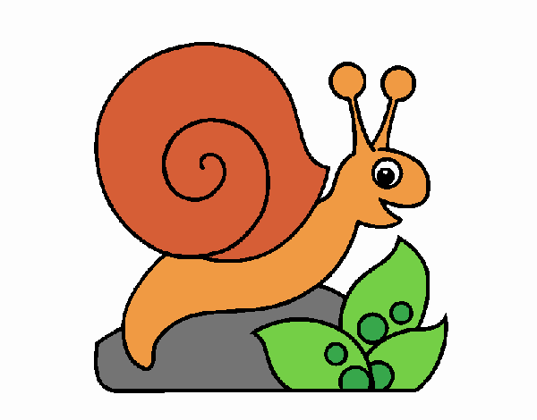 Caracol