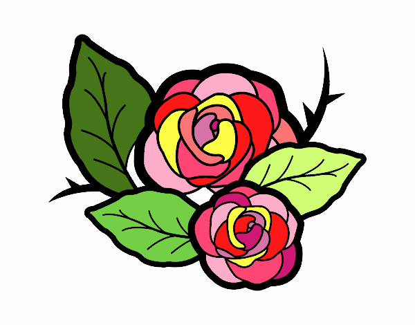 Dos rosas