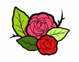 Dos rosas