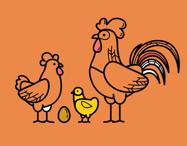 Familia gallina