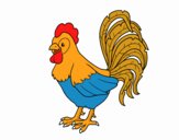 Gallo de una granja