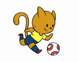 Gato jugando a fútbol