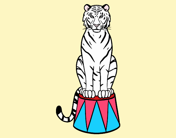 Tigre de circo