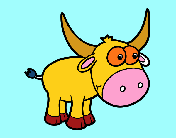 Torito